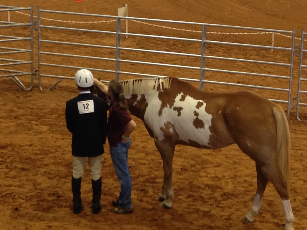 Seeing a man about a horse Peggy HeinkelWolfe